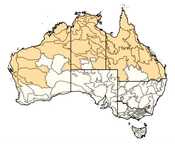 Distribution Mastotermes darwiniensis wings