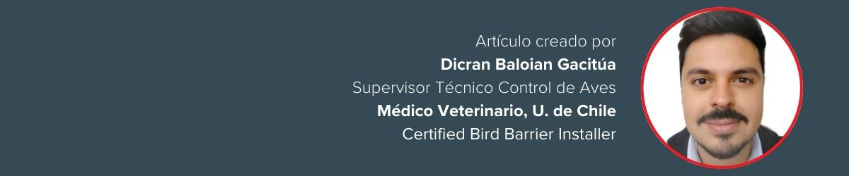 Dicran Baloian Gacitúa, Supervisor Técnico Control de Aves, Médico Veterinario, U. de Chile