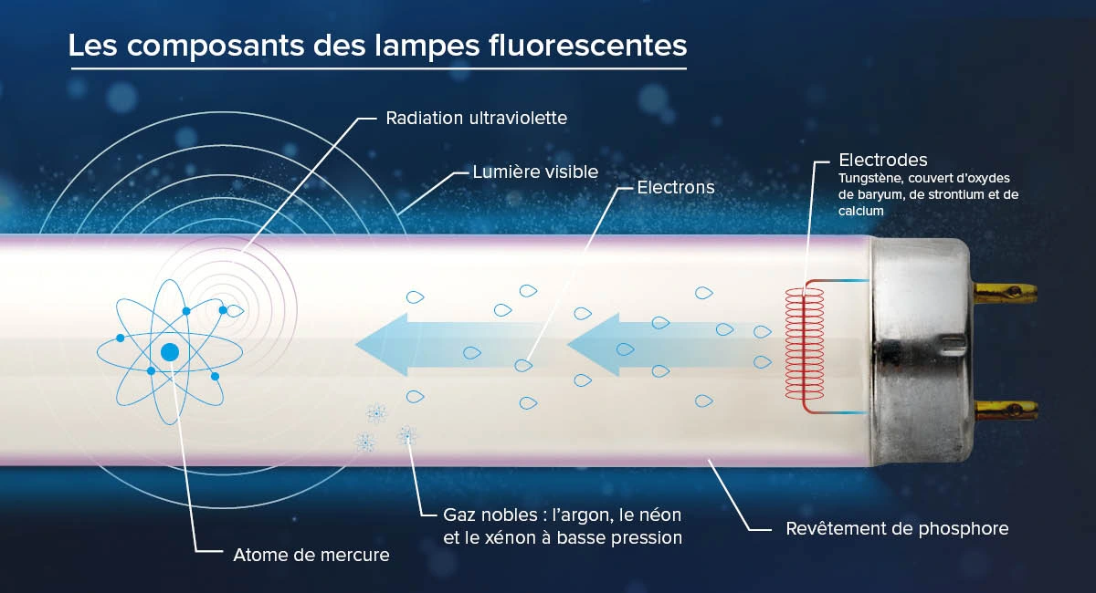 Les composants des lampes fluorescentes