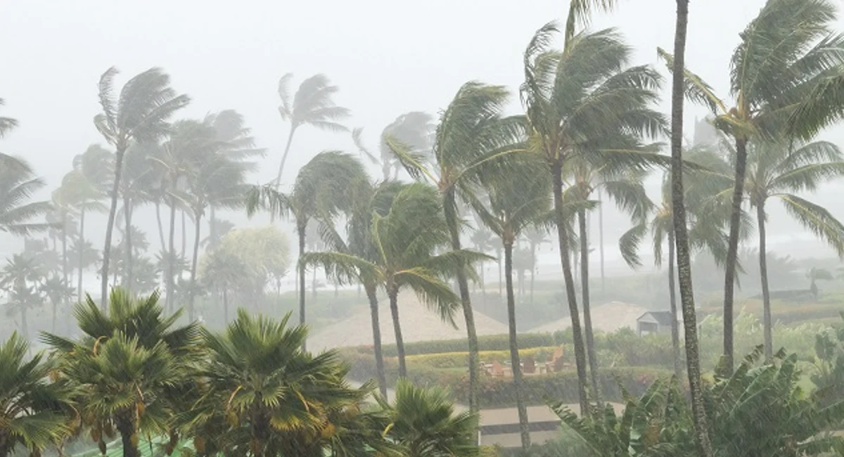 hurricane