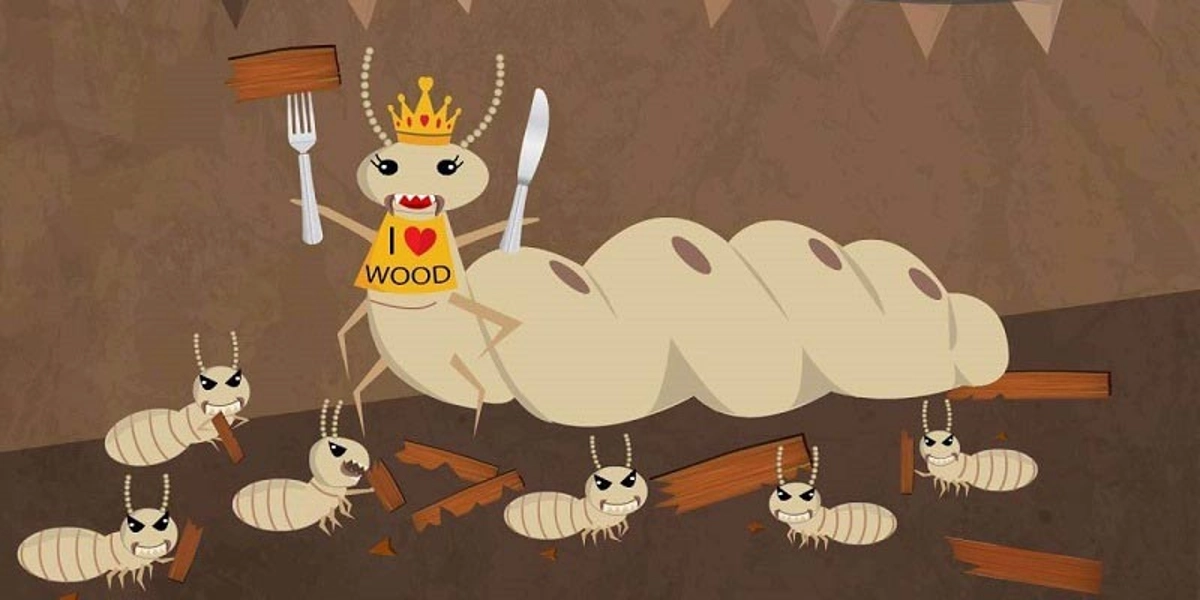 Termite eating wood