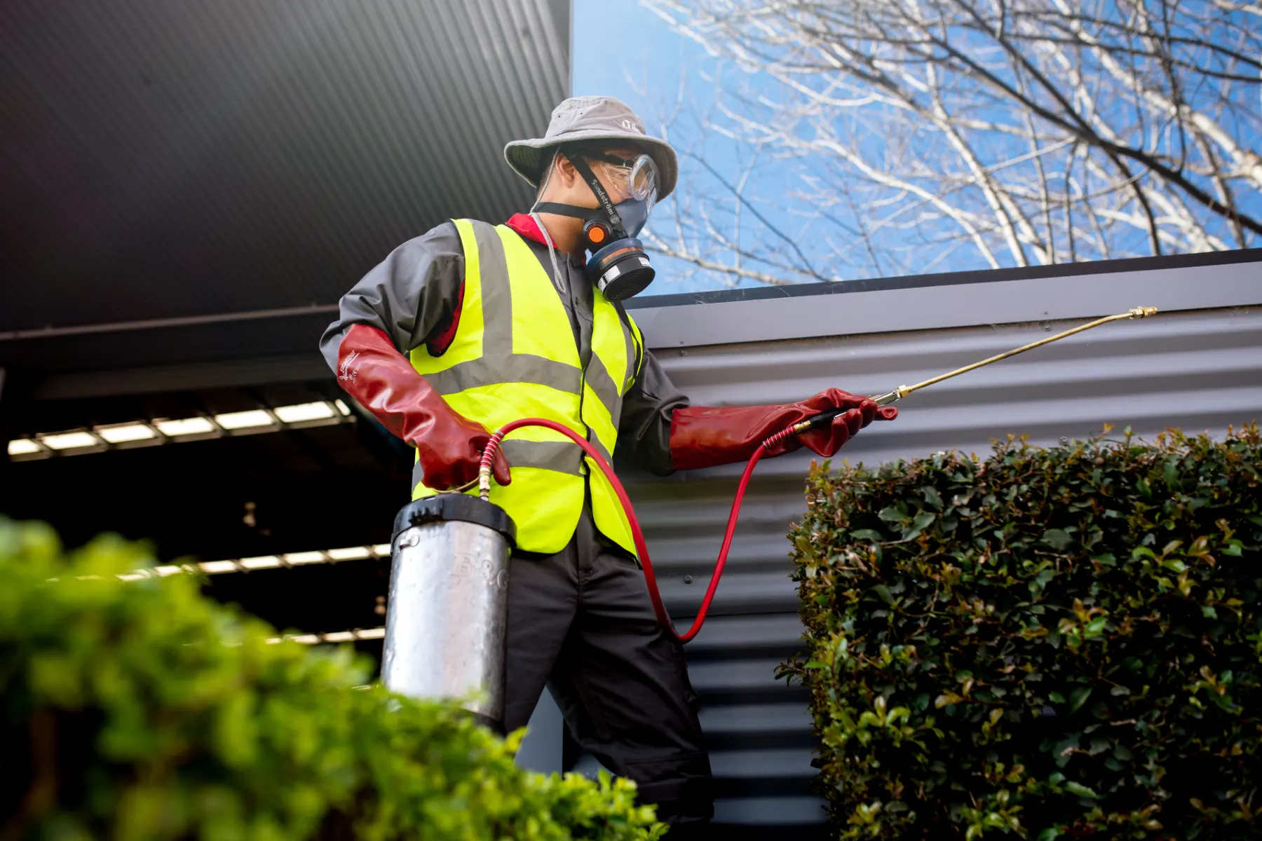 Technician spraying pesticide