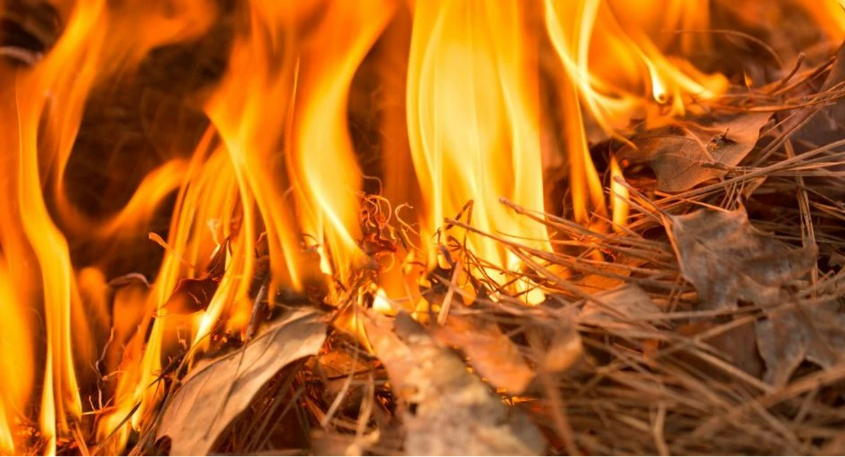 Fire