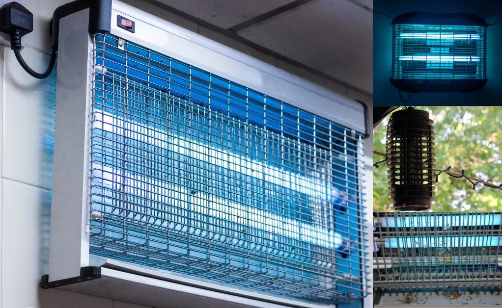 The open design of traditional bug zapper