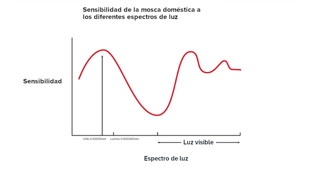 Espectro de luz Lumnia