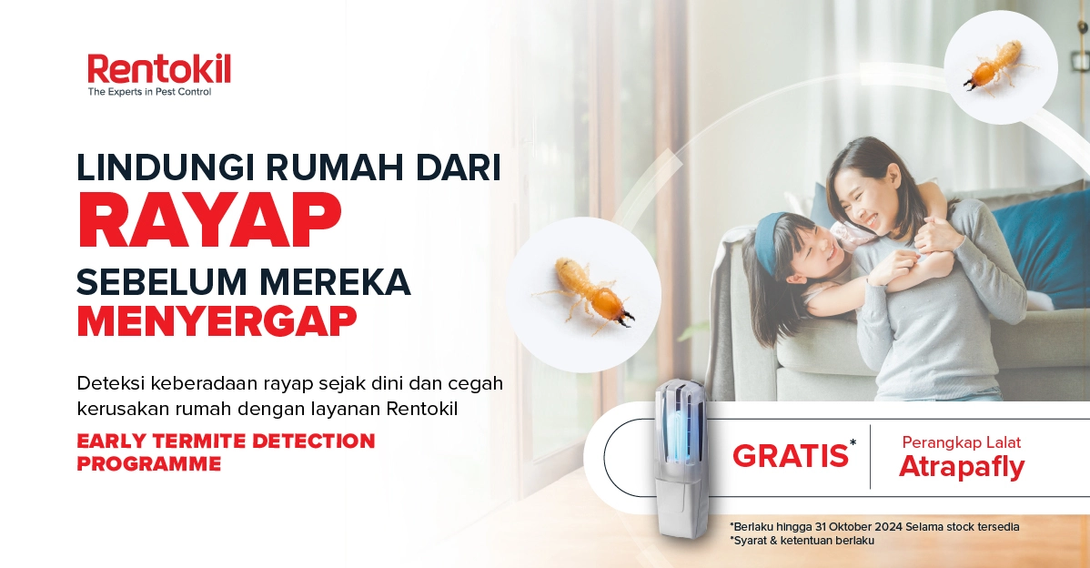 Rentokil Indonesia Early Termite Detection Program