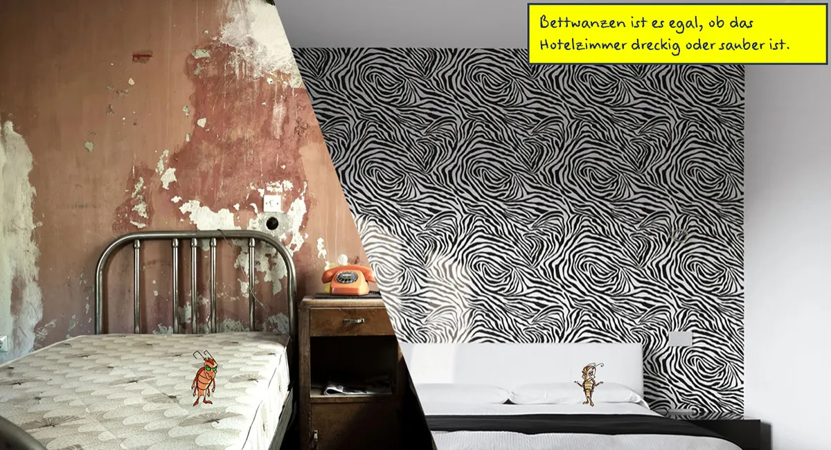 Bettwanzen in Hotels