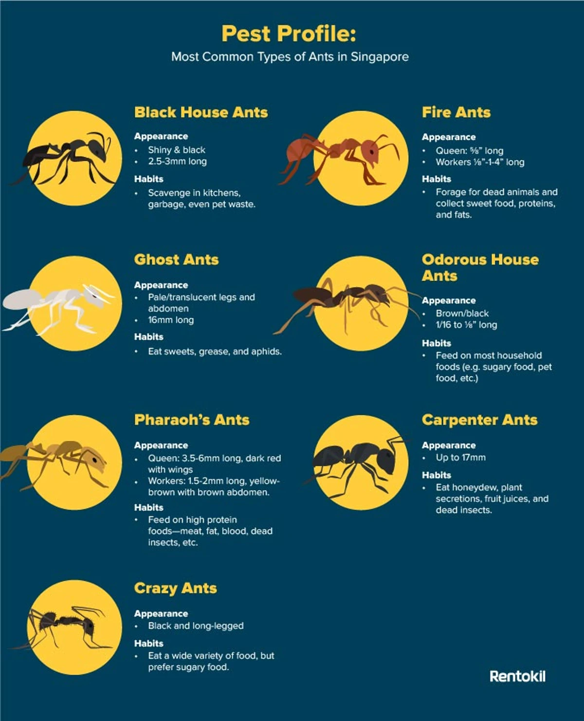 Pest profile infographics