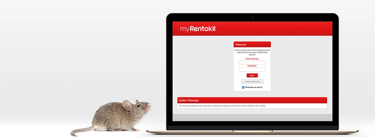 myRentokil