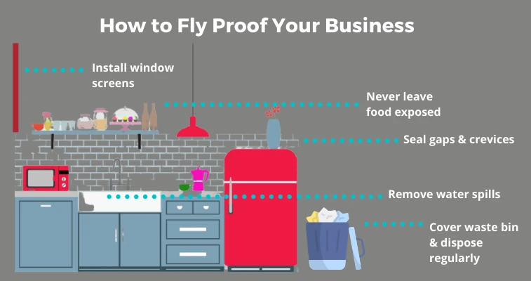 How To Fly Proof Business