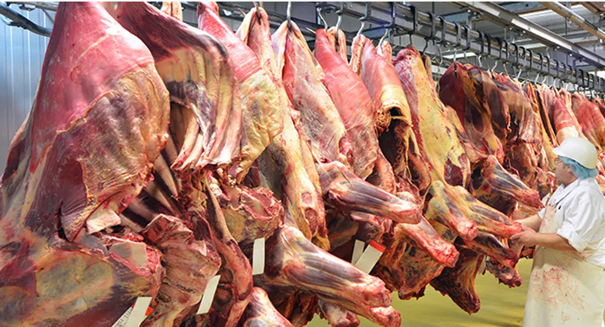  Rohes Fleisch
