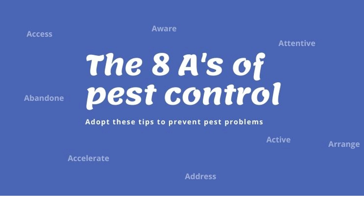 Debugged Blog Article The 8As of Pest Control Adopt Pest Control Tips