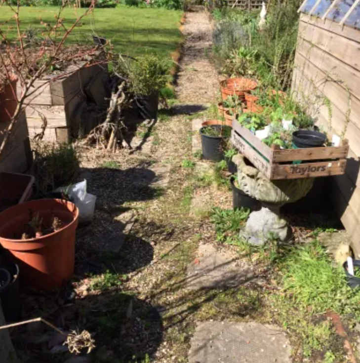 clutter in garden
