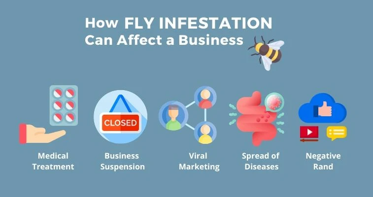 How Fly Infestation Affect Business