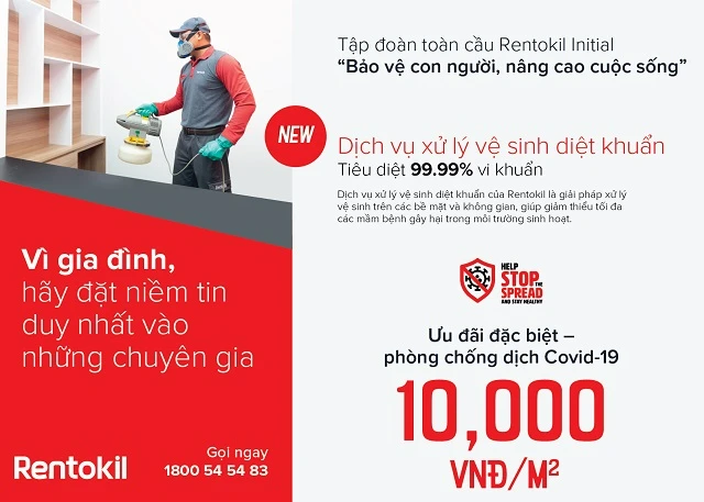 Infographic