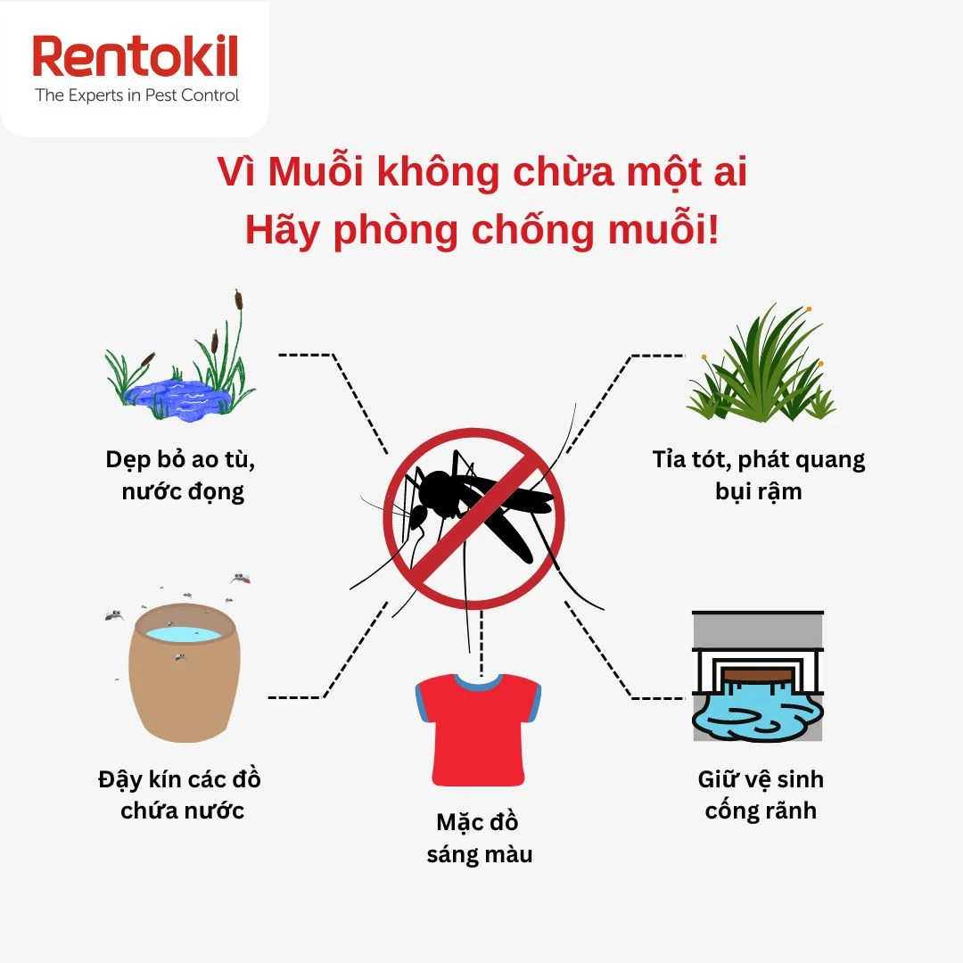 mosquito prevention
