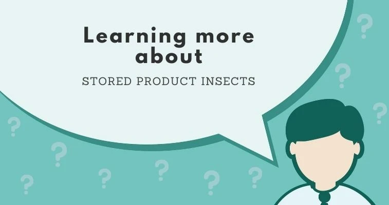 What Is Stored Product Insect Pest Profile
