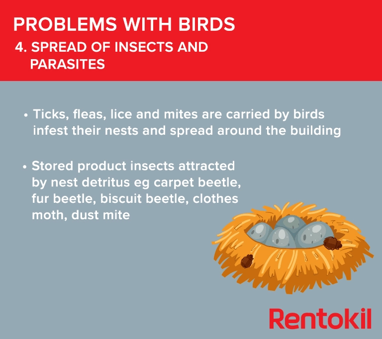 Spread of insects