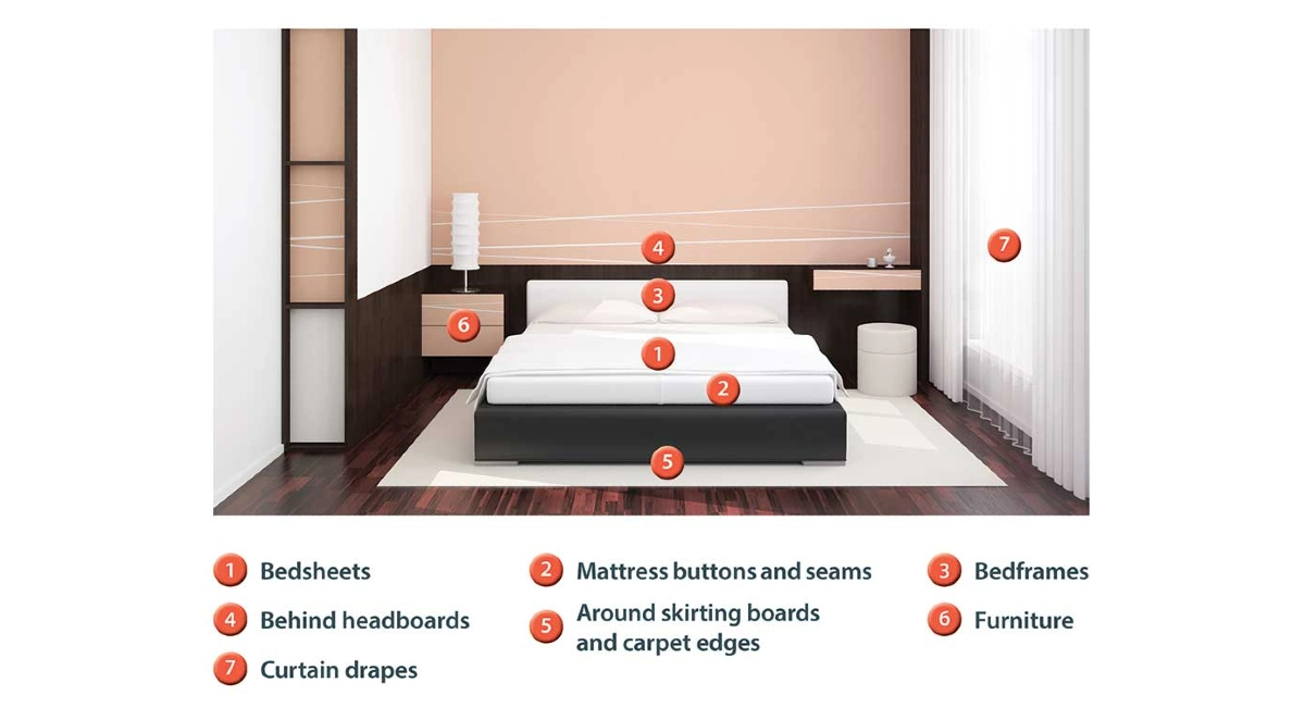 bed bugs hot spots