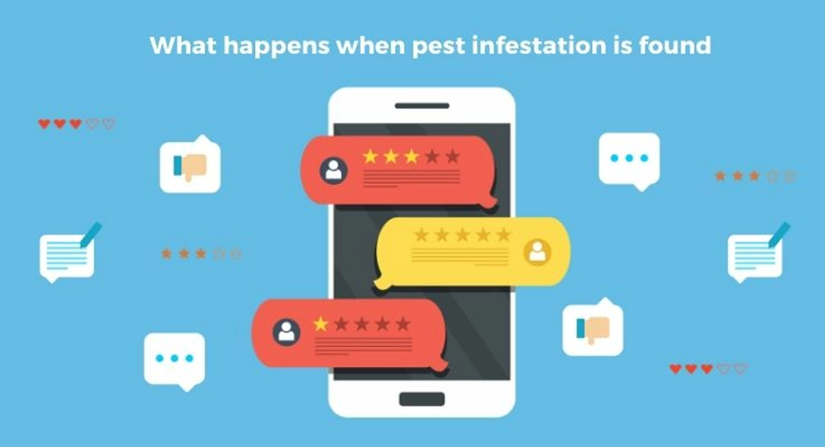Debugged Blog Dealing With Pests In Hotel Implications Of Pest Infestation