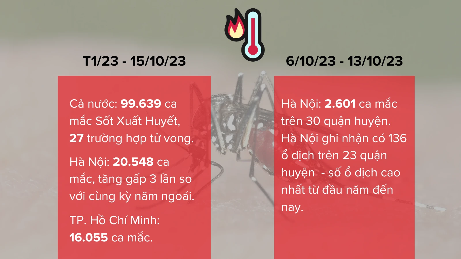 Dengue VN
