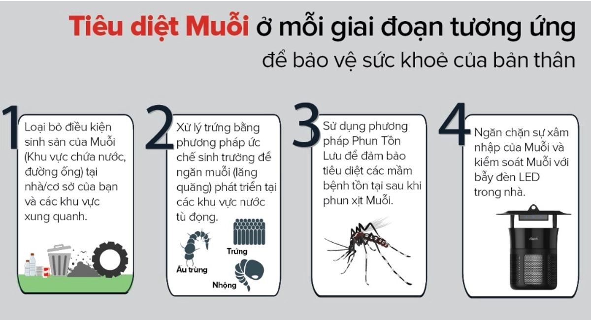 Mosquito control infographic