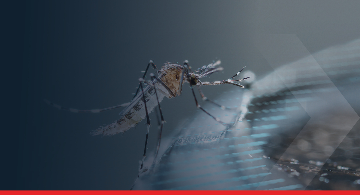malaria
