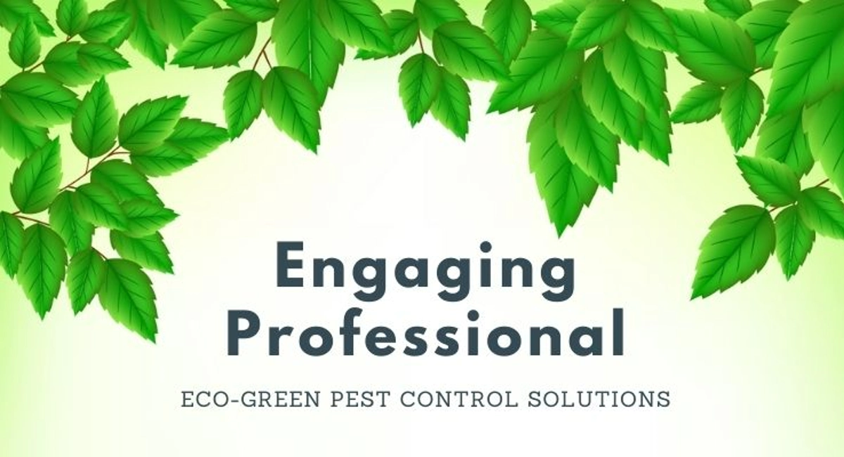 :Innovative Eco-friendly Pest Control Solutions