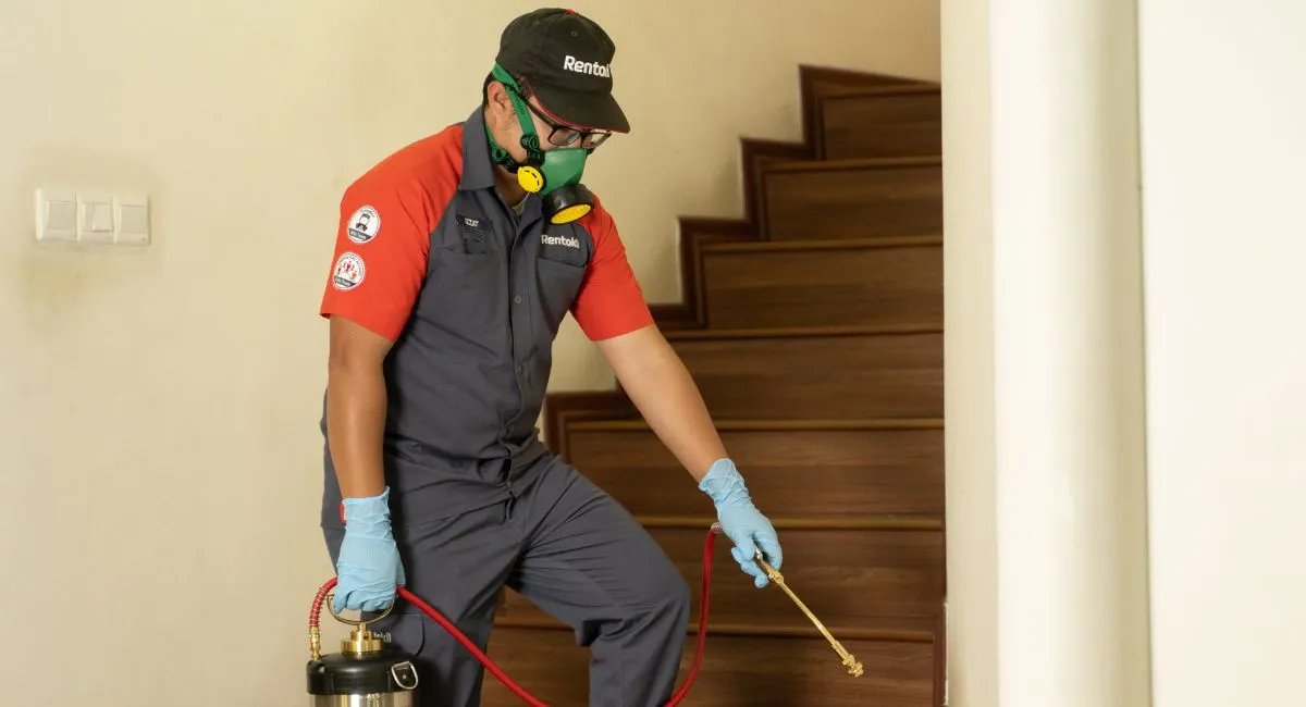 Diệt Mối thực sự là một 