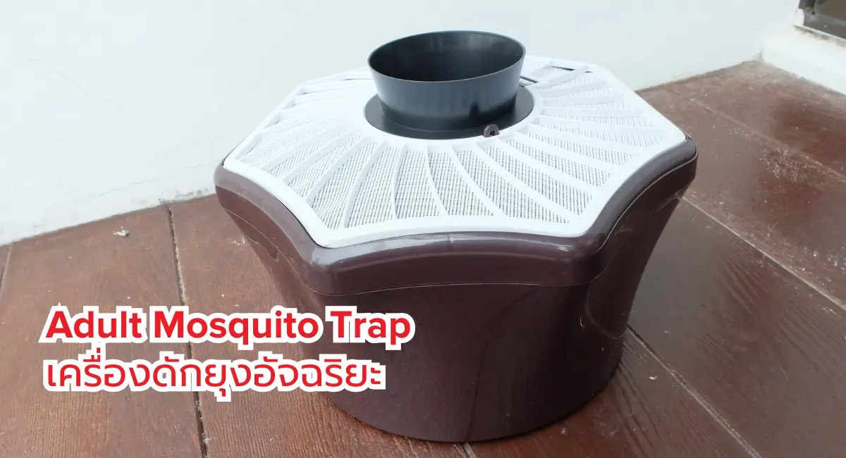เครื่องดักยุงอัจฉริยะ Adult Mosquito Trap
