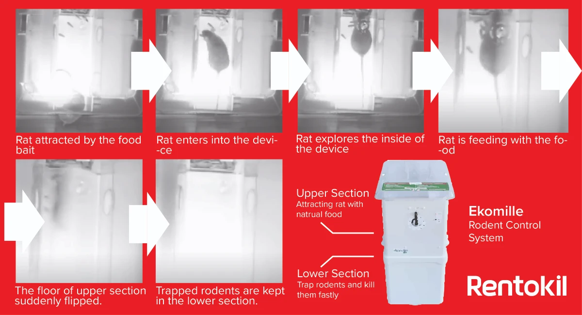 How Ekomille Rodent Control Device Works
