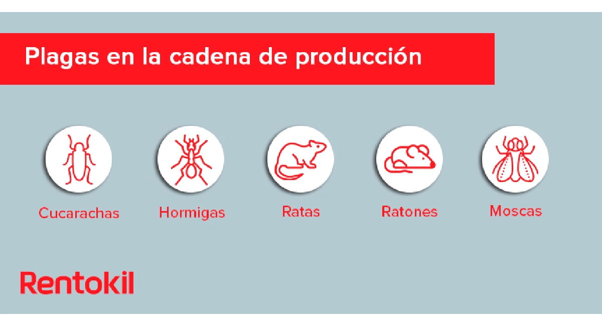 plagas en la cadena de producción 