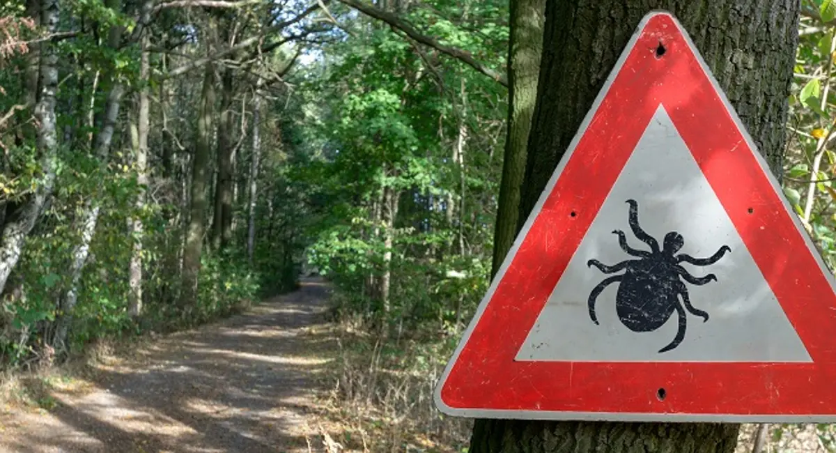 Ticks prefer to live outdoors, but once indoors they find a host, they multiply and survive for months