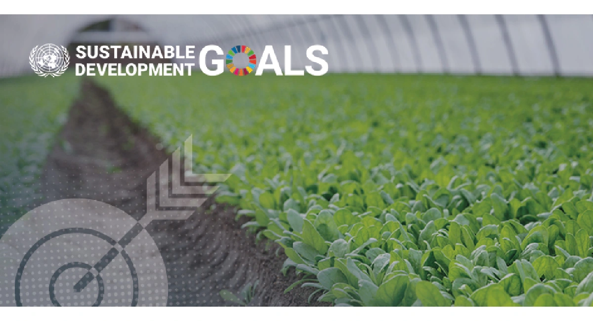 Metas de desenvolvimento sustentável