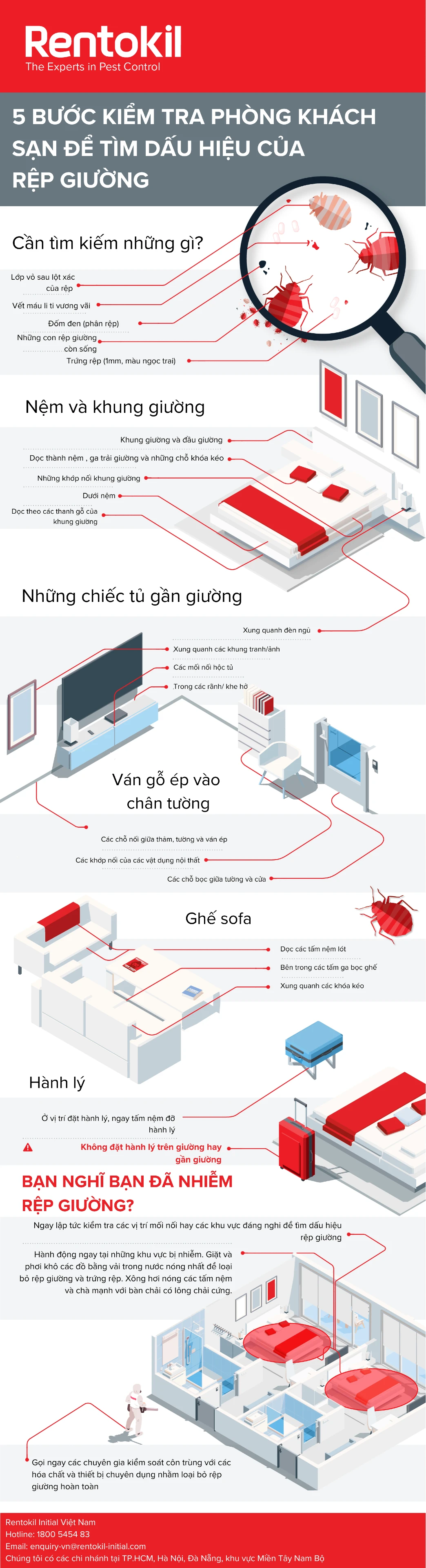 Vietnam bedbug infographic