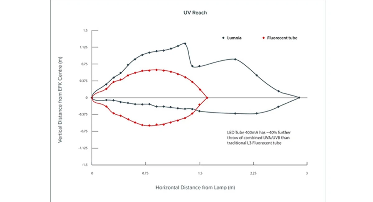 Light wave length of what flies can see