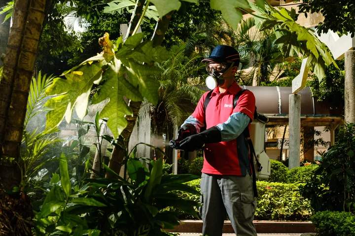 rentokil mosquito fogging service