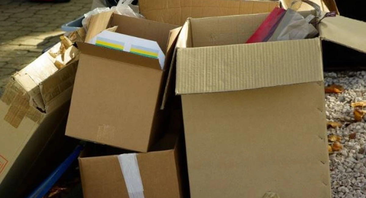 Debugged Blog 9 Ways How Rat Problem Can Be Damaging Rats Hide Among Clutter And Cartons
