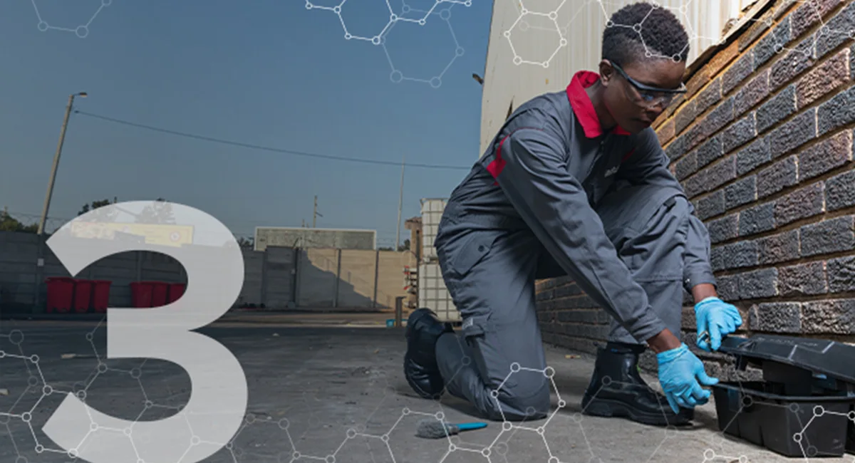 Pest control to eliminate current pest problems as a result of COVID 19 lockdowns