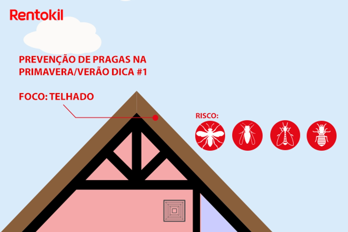Dicas para prevenção de pragas no telhado
