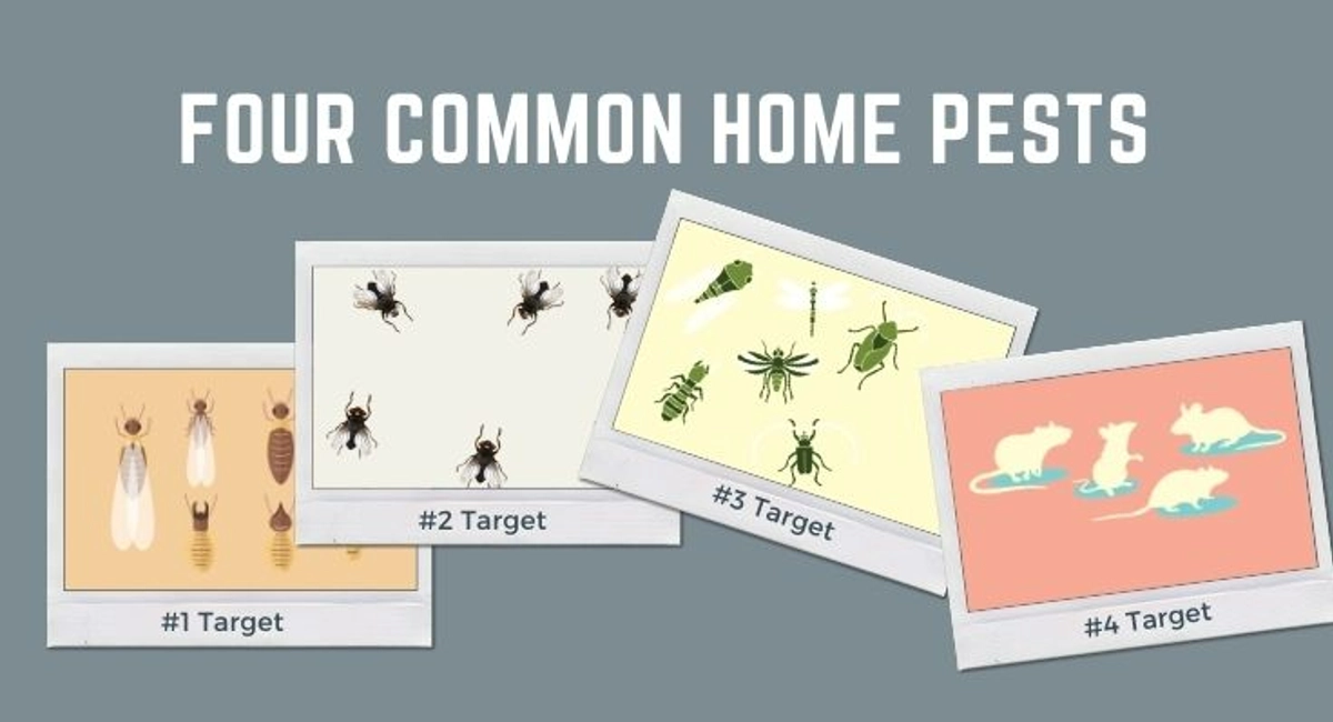 Debugged Blog Five Ways To Detect Pest Infestation Four Common Home Pests