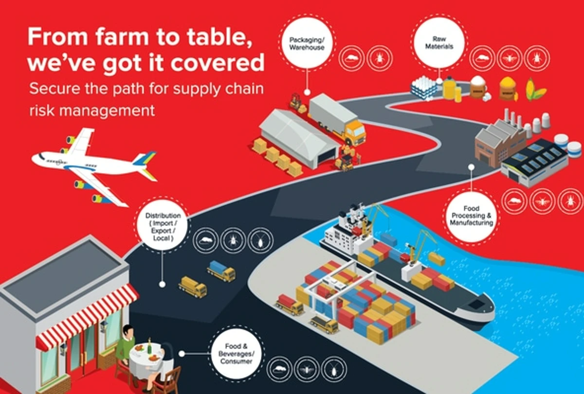 infographic