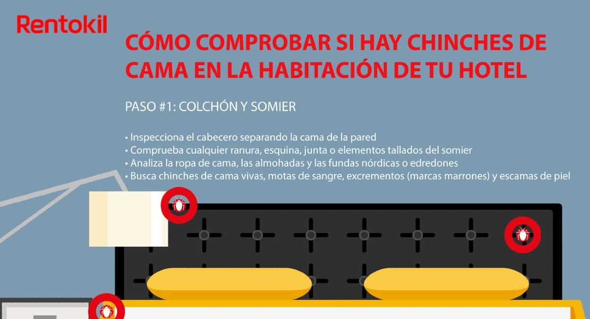 Paso 1 _ Comprobar chinches