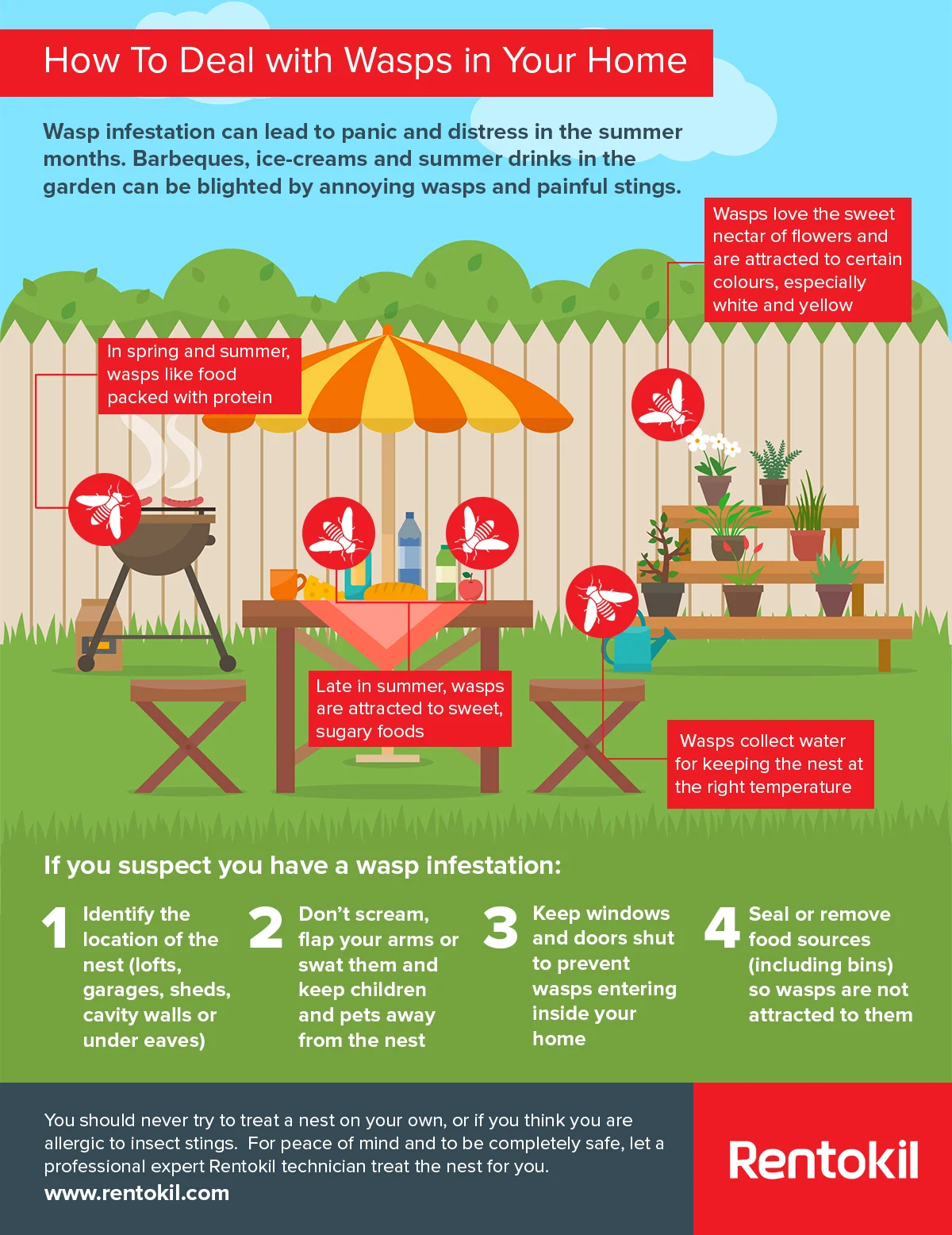 Tips of how to deter wasps from nesting in your home