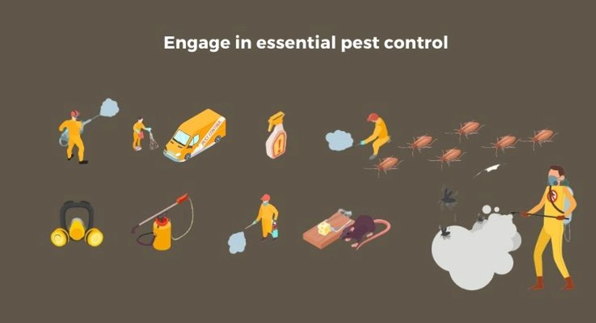 10 Essential Tips To Prevent Pest Infestations