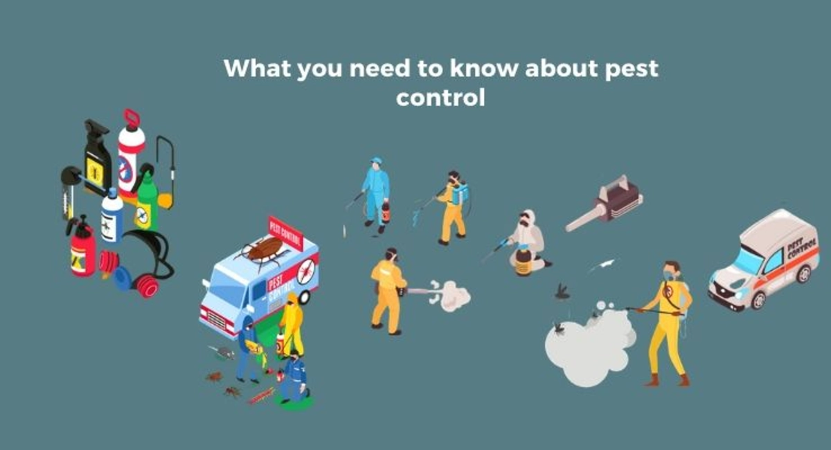 Debugged Blog Article The 8As of Pest Control What You Need Know About Pest Control