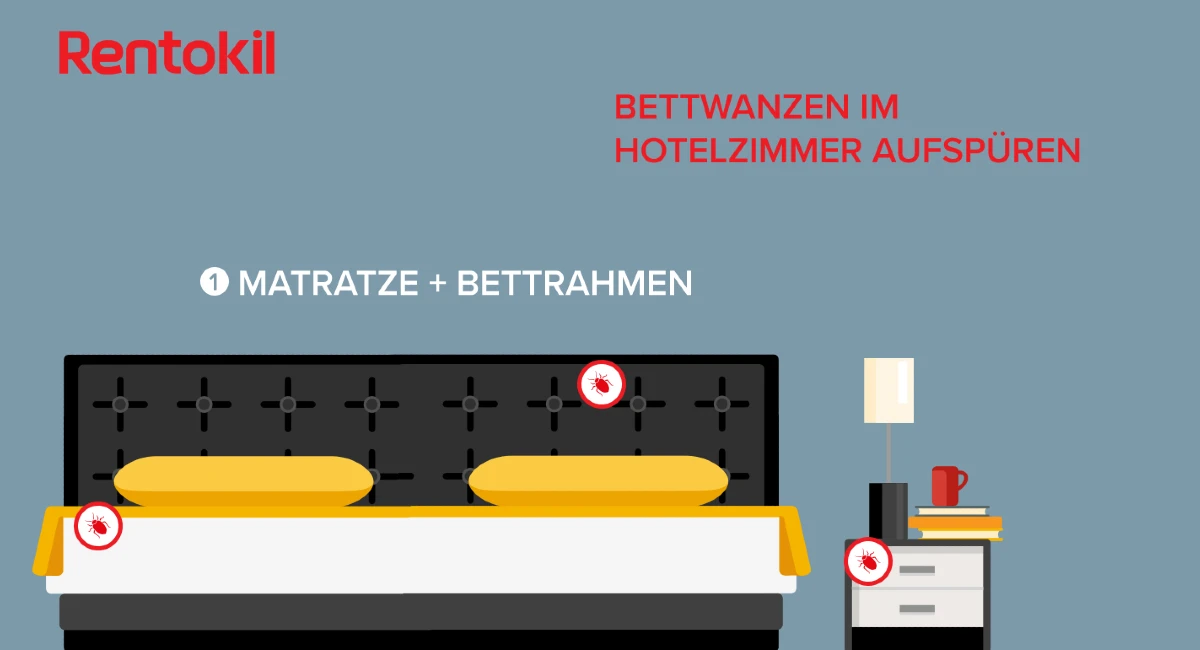 Bettwanzen erkennen im Hotel am Bett und Matratze