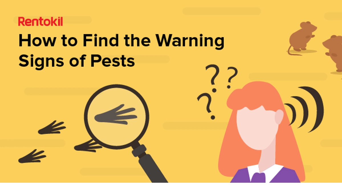 Finding the warning signs of pest